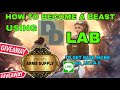 Last Shelter Survival: How to Become a Beast Using Dd lab | GIVE AWAY: Arms Supply