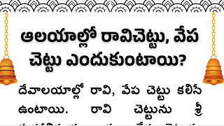 దేవాలయాల్లో రావి చెట్టు, వేప చెట్టు ఎందుకు ఉంటాయి? 🙏 తాళ పత్ర రహస్యాలు Talapathra Nidhi Telugu