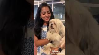 pandian stores mullai #vjchitra #pandianstores #dog #doglover