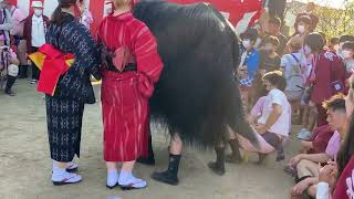 2022 大塩天満宮秋祭り　本宮　　　　毛獅子　小林丁　花の舞