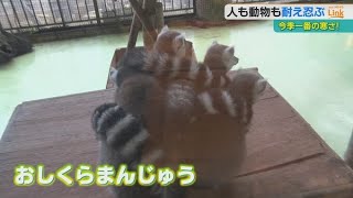 『最強寒波』到来でこの冬一番の冷え込み　人も動物も寒さを耐えしのぶ