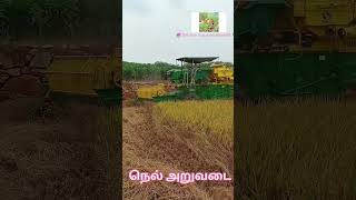 இயந்திரம்  மூலம்🌾 நெல்🌾 அறுவடை