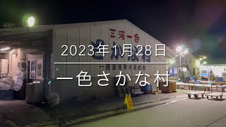 【大漁】マグロ大量販売の1日『一色さかな村』大寒波直後の朝市を公開