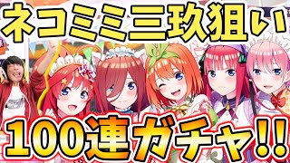 猫耳メイド三玖とか課金が捗ってしかたねぇ!!五つ子メイドガチャ100連でやらかすオタク【五等分の花嫁 ごとぱず】