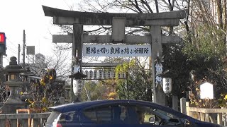 「12月の京都見てある記」 ⑤ 安井金比羅宮・終い金比羅祭（12月10日）