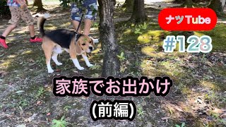 ビーグル ナツ 家族でお出かけ(前編)