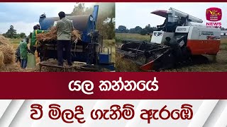 යල කන්නයේ වී මිලදී ගැනීම් ඇරඹේ | Rupavahini News