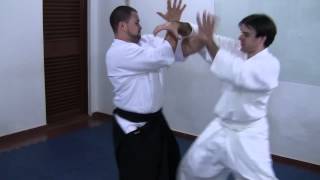 Ogawa Ryu - Kenpo - International Bugei Society \u0026 South American Bugei Society