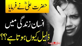 Hazrat Ali (R.A) Ka Farman || Hazrat Ali  ka waqia | Best Aqwal E Zareen Hazrat Ali In Urdu