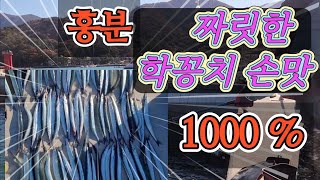 사이즈 겁나 좋고 학꽁치  쑥쑥 나오는 곳 (#학꽁치낚시 #도보권 바다낚시)