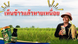 B-organic Plus | EP. 12 | ข้าวสวยแบบนี้ เห็นข้าวแล้วหายเหนื่อยยย!!