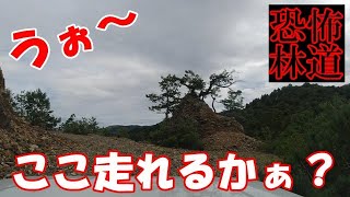 【林道】恐怖の林道へ突入だぁ！この道走れるの？