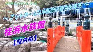 ～アットホームな水族館の魅力を体感しました。～【桂浜水族館】〔屋内編〕