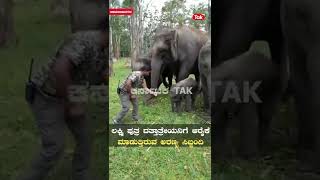 Chamarajanagar: ಆನೆ ಲಕ್ಷ್ಮಿ ಪುತ್ರ ದತ್ತಾತ್ರೇಯನ ತುಂಟಾಟ ನೋಡಿ ||Elephant|| ||Chamarajanagar||