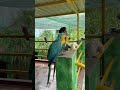 part 2 of exploring zoo in indore zoo indore ashortaday dailyvlogs