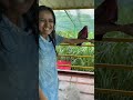 part 2 of exploring zoo in indore zoo indore ashortaday dailyvlogs