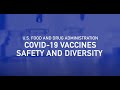 COVID 19 Vaccines Safety and Diversity American Sign Language