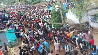 eruthukattu manju virattu jallaikattu madu Vellore