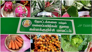 கள்ளக்குறிச்சி மாவட்டத்தில் விளையும் பயிர்கள் | Plants in kallakurichi | jp tamil tv