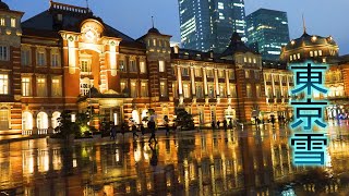 TOKYO【SNOW】the first fallen snow in downtown TOKYO , January 18, 2020. #4K 東京雪