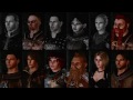 party banter dragon age awakening