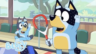 Liebliche Momente mit Bluey  | Bluey - Deutsch Offizieller Kanal