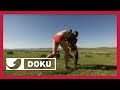 Das Leben der Normaden in der Mongolei | Entdeckt! Geheimnisvolle Orte | kabel eins Doku