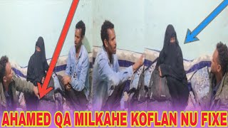 AHAMED QA MILKAHE KOFLAN NU FIXE          February 4, 2025