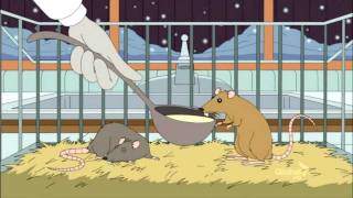 American Dad : Roger punch kill's hamsters