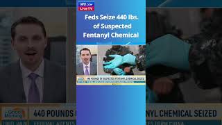 Feds Seize Nearly 440 Pounds of Fentanyl Chemical - NTD Good Morning