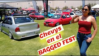 ¡Chevys en el Bagged Fest! La mayoría integrantes del Club OPC