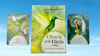 Oracle of the Birds | A 46 Card Deck and Guidebook | Flip Through | Walkthrough