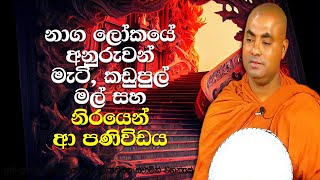 විවාහක කාන්තාවක් අයිති කරගන්න උපක්‍රමයක් යෙදූ කොසොල් රජතුමාගේ කතාව | Koralayagama Saranathissa Thero