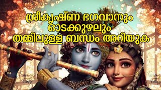 ഓടക്കുഴലും ശ്രീകൃഷ്ണ ഭഗവാനും | Lord Krishna and the Flute | Divine Melody | 4K Video