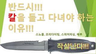 칼을 반드시 들고 다녀야 하는 이유 #작살난다 #스피어피싱 #Spearfishing #작살낚시 #다이빙 #뉴질랜드 #호주