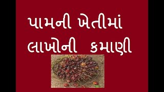 પામની ખેતીમાં લાખોની કમાણી જાણો શ્રી મનહરભાઈ પટેલ પાસેથી મો. 9426500858  @First Farmer