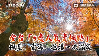 全台「5處人氣賞楓點」提前預約！楓葉、雲海、泡湯一次滿足｜ETtoday旅遊雲