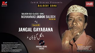 Jangal Gyabana Muhammad Jadok Baloch | #balochisong  #zahidstereo