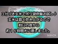 災害時に役立つ‼️ポリ袋炊飯っ‼️