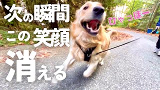 ヤンチャな愛犬がおばけ見た時の反応がこちらw