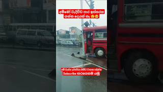 වැස්ස දවස්වලට හිමීට යන්න 😒🥺 #automobile #bus #truck #foryou #fyp #trending #viralvideo #srilanka