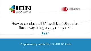 How to conduct a 384 well Naᵥ1 5 sodium flux assay using assay ready cells   - Part 1