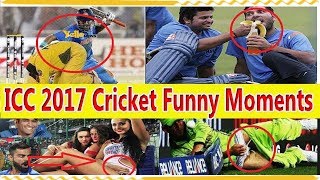 Most Hilarious Moments in Cricket History Ever -Most UnExpected Moments - Funny,Sad Moments