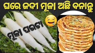 ମୂଳା ର ଏହି recipe 😋//ଘରେ ମୂଳା ଶୁଖିଯାଇଛି ଜଳଖିଆ ବନାଇଦିଅ/ପିଲାମାନେ ମାଗିକି ଖାଇବେ/#kitchentipsinodia