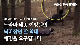 드라마 태종 이방원의 낙마장면 말 학대, 해명을 요구합니다