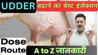 भैंस की लेवटी बढ़ाने के लिए Best Injection 👉🏻 Udder Badhane ka Injection