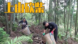 思雨和幺妈上山砍柴，中午饿了煮一碗酸辣粉填填肚子【幺妈和幺叔】