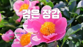 [은성 반주기] 검은장갑 - 손시향