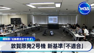 敦賀原発2号機 新基準「不適合」　規制委「活断層否定できず」【WBS】