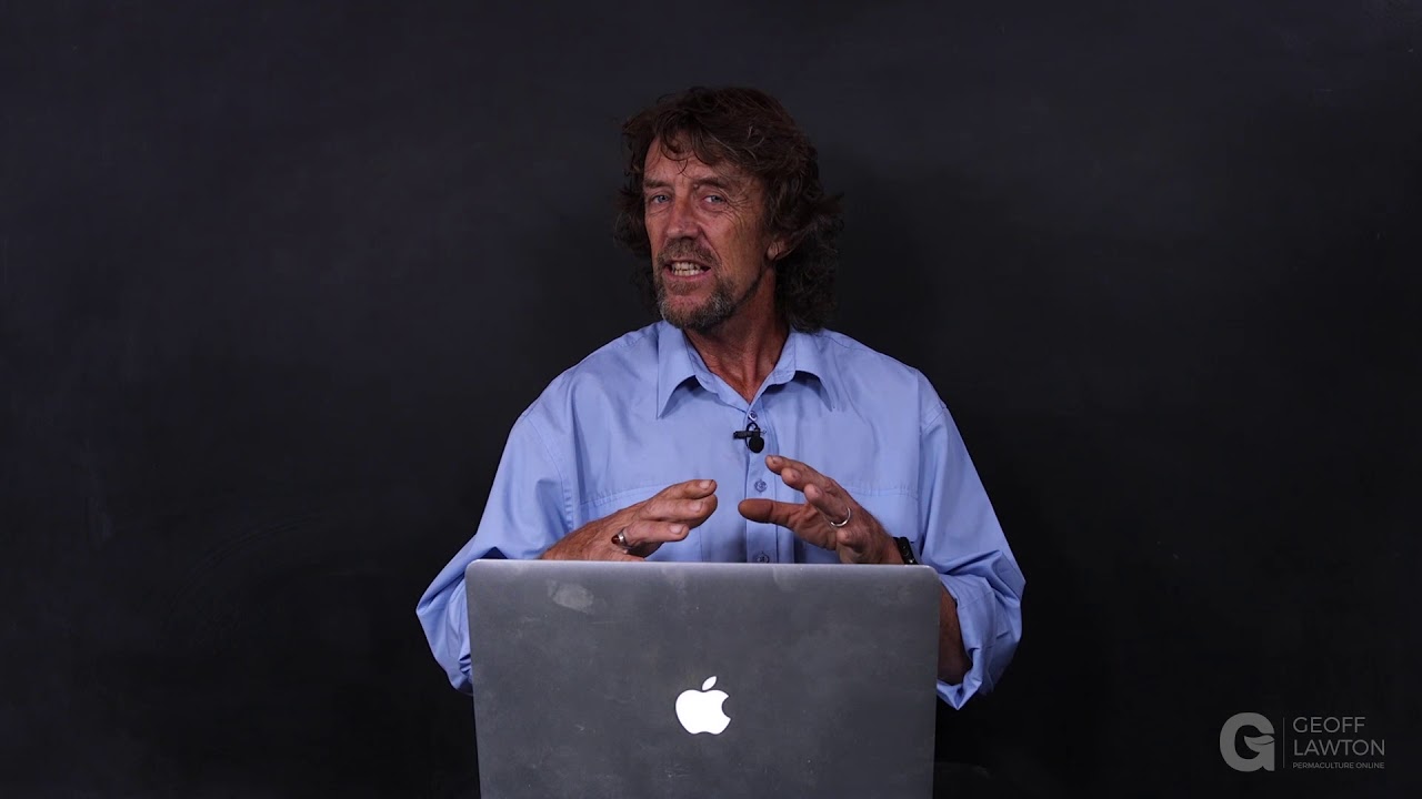 Q&A: The Placement of Trees in Swales Varying by Climate